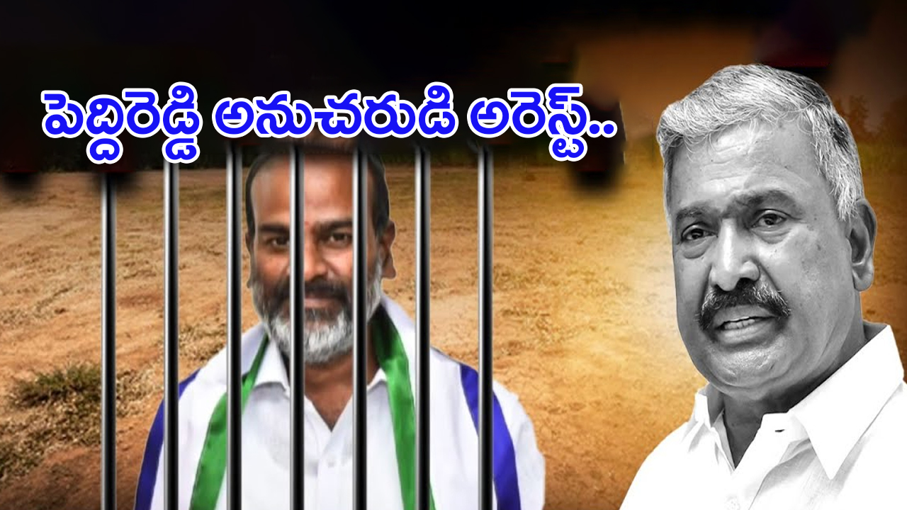 Peddi Reddy Assistant Arrest: లక్షల ఎకరాలు కబ్జా.. పెద్దిరెడ్డి అనుచరుడు అరెస్ట్