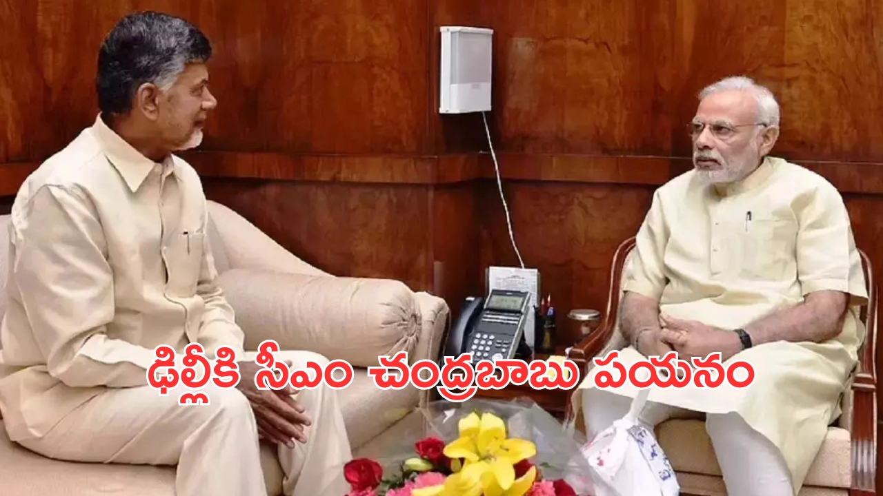 AP CM Chandrababu: ఢిల్లీకి వెళ్లనున్న ఏపీ సీఎం చంద్రబాబు..అందుకేనా?