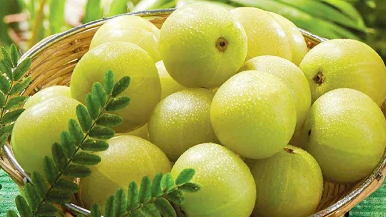 Amla Health Benefits: ప్రతీరోజూ ఇది ఒక్కటి తింటే శరీరానికి పోషకాలు పుష్కలంగా అందుతాయి..