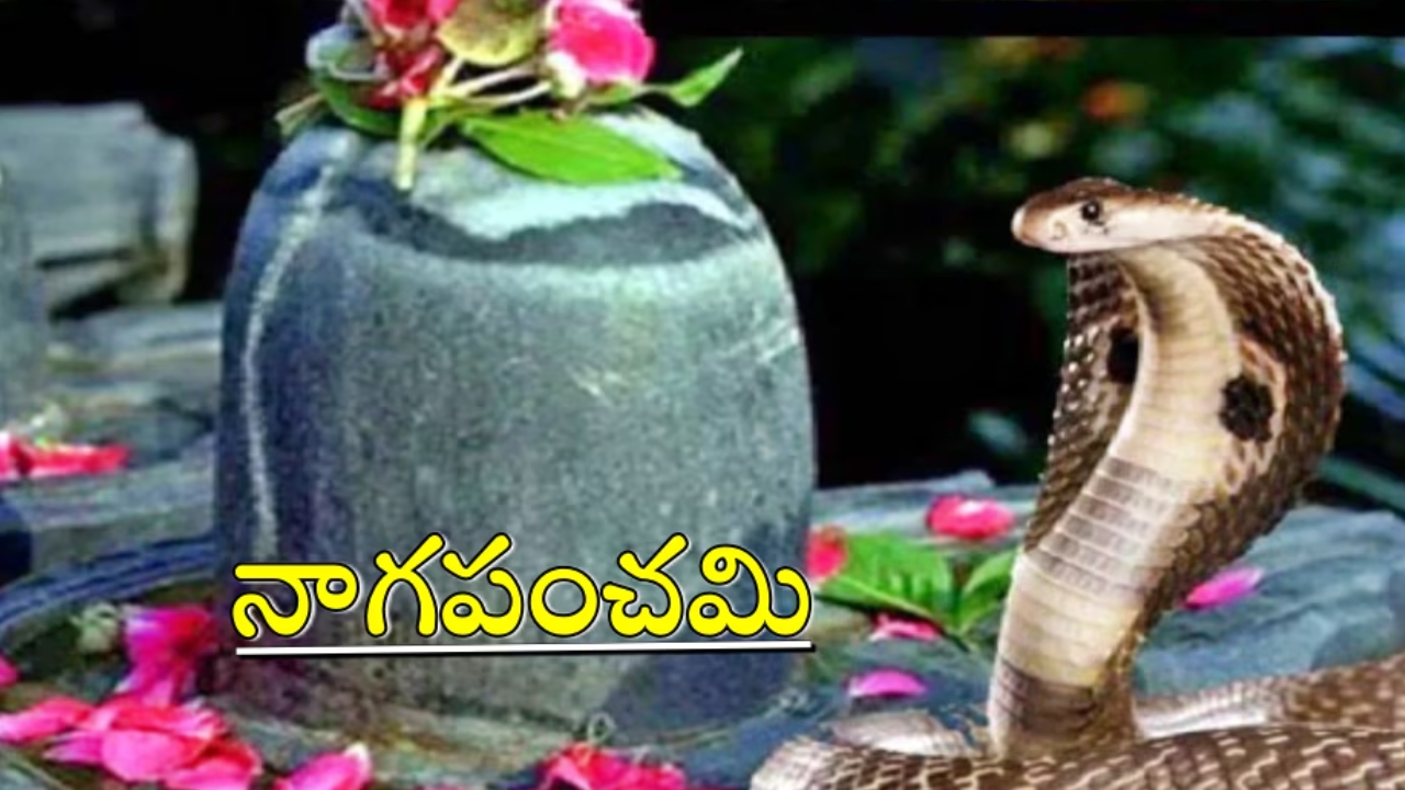 Nag Panchami 2024 Date: నాగ పంచమి ఎప్పుడు ? అసలు దీని ప్రాముఖ్యత ఏమిటి