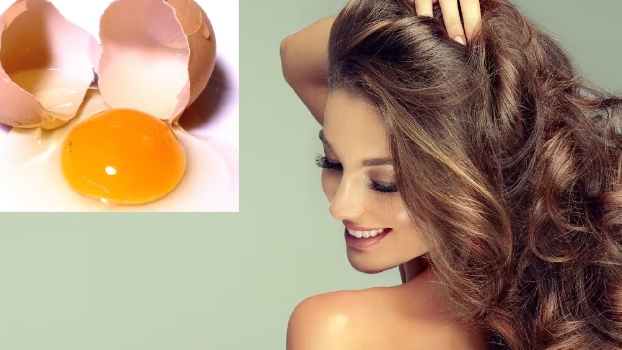 Egg Hair Mask: ఎగ్ తో ఇలా మాస్క్ వేస్తే.. ఒత్తైన జుట్టు మీ సొంతం !