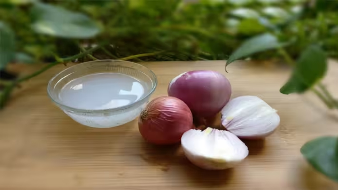 Onion Juice Benefits: పరగడుపున అరగ్లాసు ఉల్లి రసం తాగితే ఏమవుతుందో తెలిస్తే షాక్ అవుతారు..