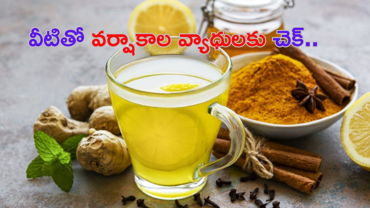 Immunity Boosting Drinks: వర్షాకాలంలో రోగనిరోధక శక్తిని పెంచే డ్రింక్స్ ఇవే !