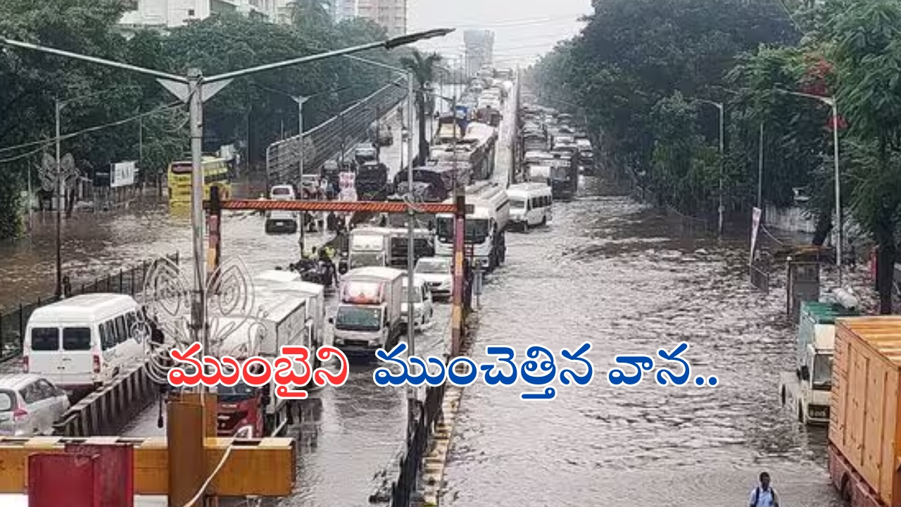 Mumbai Rains: 6 గంటల్లో 30 సెం.మీల వాన.. ముంబైని షేక్ చేసిన వరుణుడు..