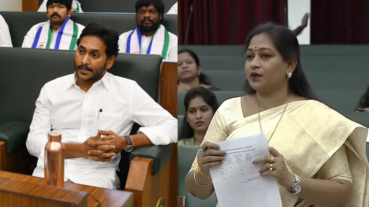 Home minister anitha angry on jagan: జగన్‌పై హోంమంత్రి ఆగ్రహం, ఆ.. దమ్ము లేదా?