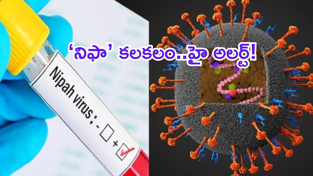 Nipah Virus: మళ్లీ వణికిస్తున్న నిఫా వైరస్.. కేరళలో 14 ఏళ్ల బాలుడికి పాజిటివ్