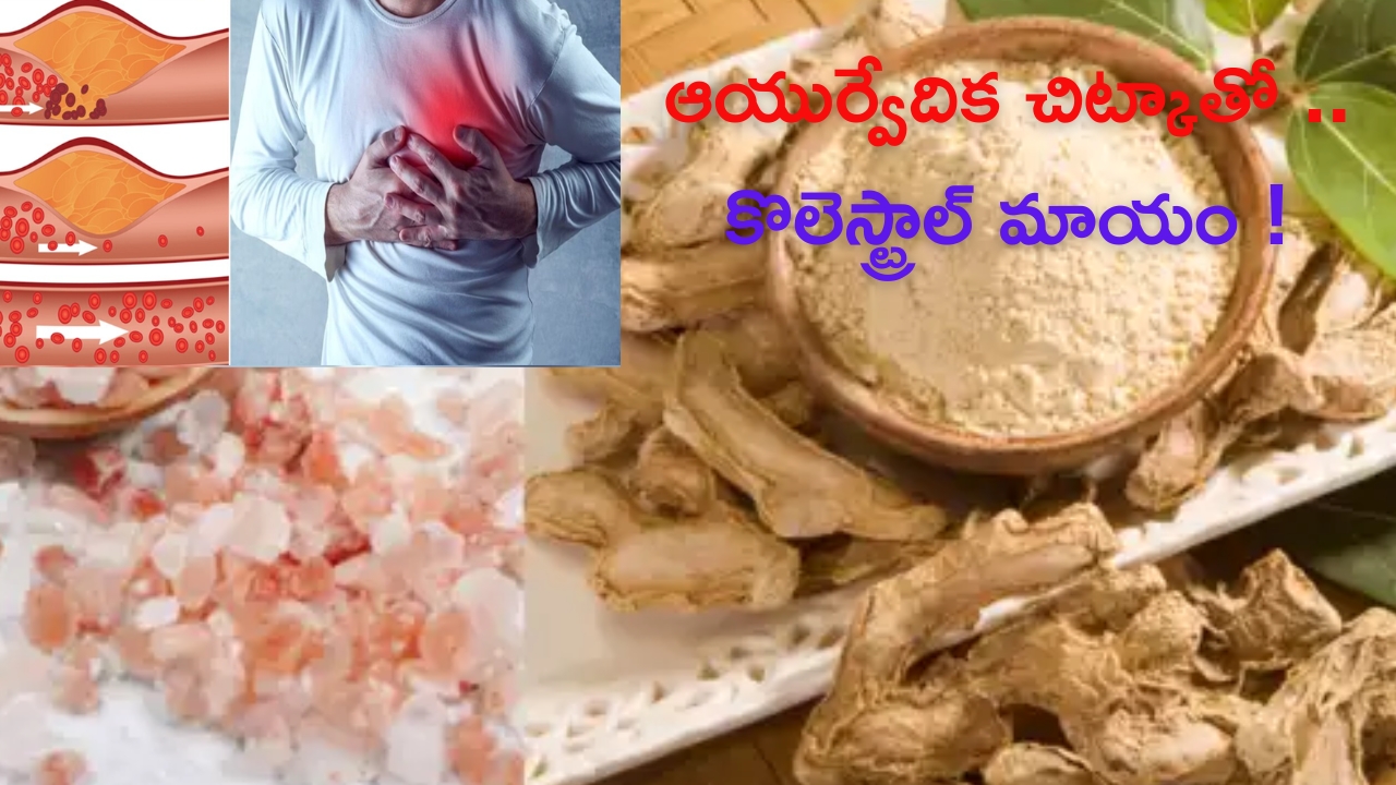 Cholesterol Control Tips: ఈ ఆయుర్వేదిక చిట్కాతో.. 30 రోజుల్లోనే శరీరంలోని కొలెస్ట్రాల్ మాయం!