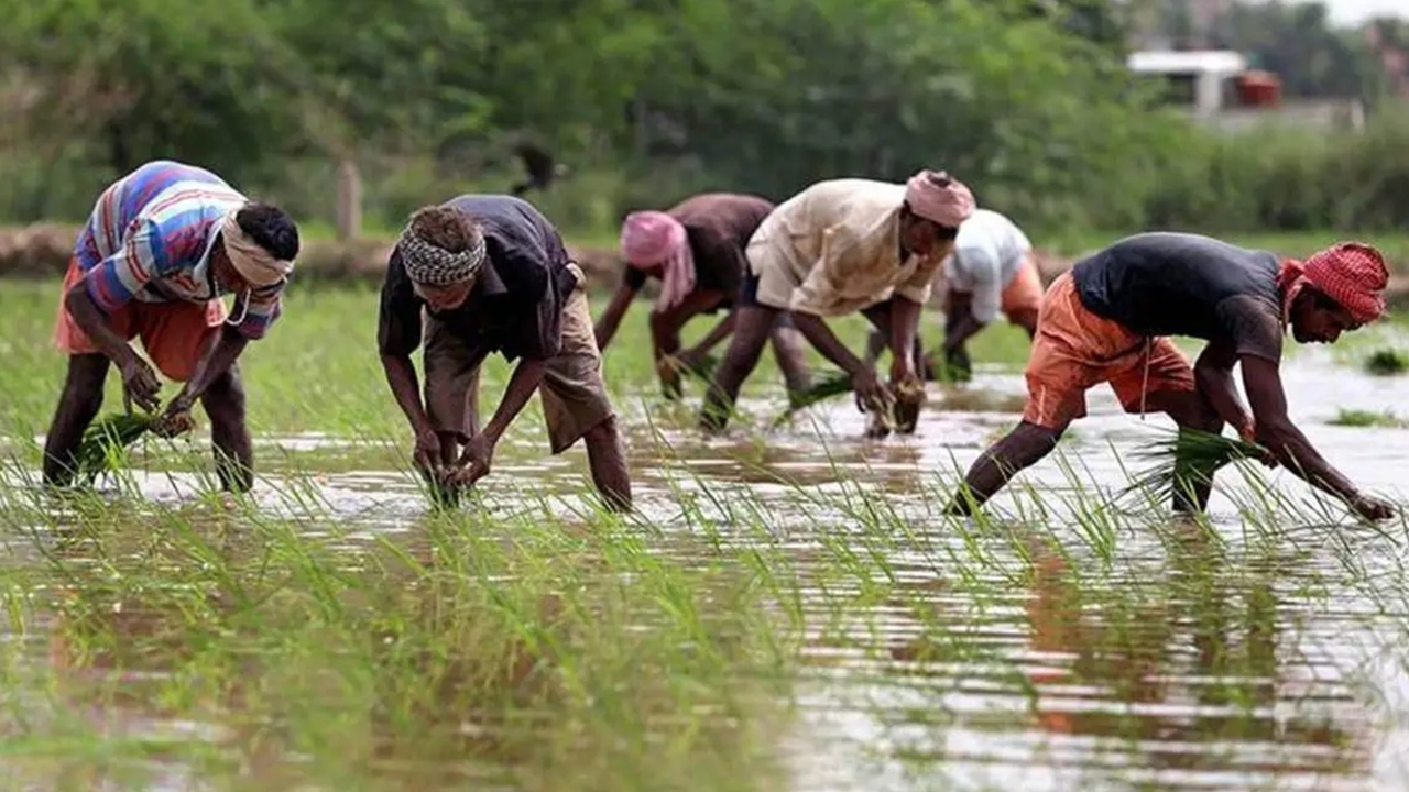 PM Kisan: పీఎం కిసాన్ కొందరికేనా?