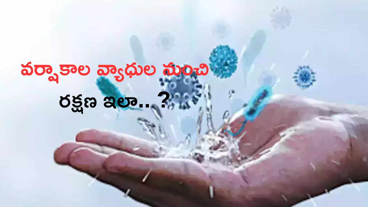 Waterborne Diseases: వర్షాకాల వ్యాధుల బారిన పడకుండా తీసుకోవాల్సిన జాగ్రత్తలివే..!