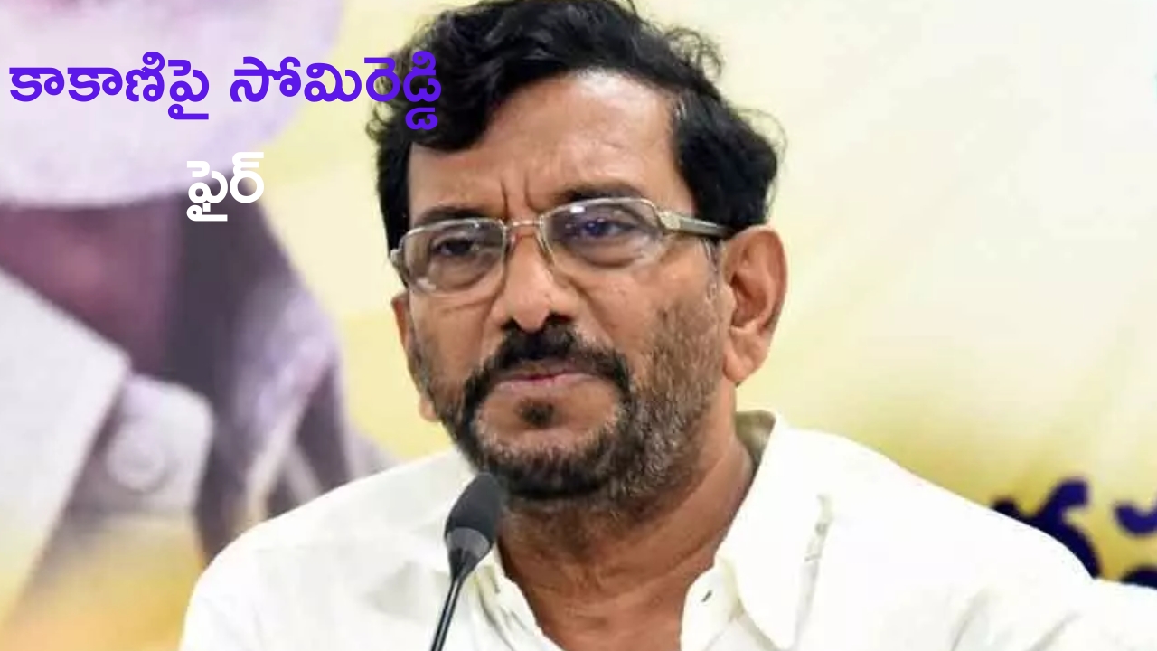 Somireddy Chandra Mohan: సీఎంపై ఆరోపణలు చేస్తే ఊరుకోం: సోమిరెడ్డి