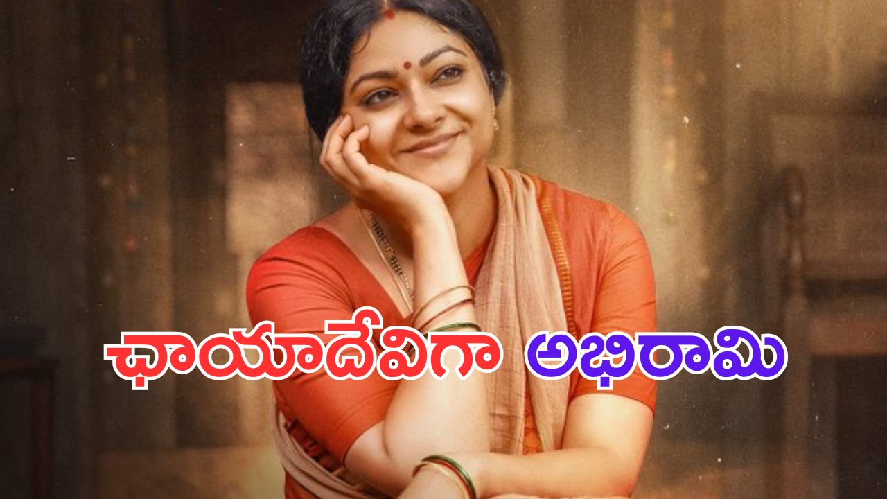 Saripodhaa Sanivaaram: ఎవరీ ఛాయాదేవి.. సూర్యకు ఏమవుతుంది.. ?