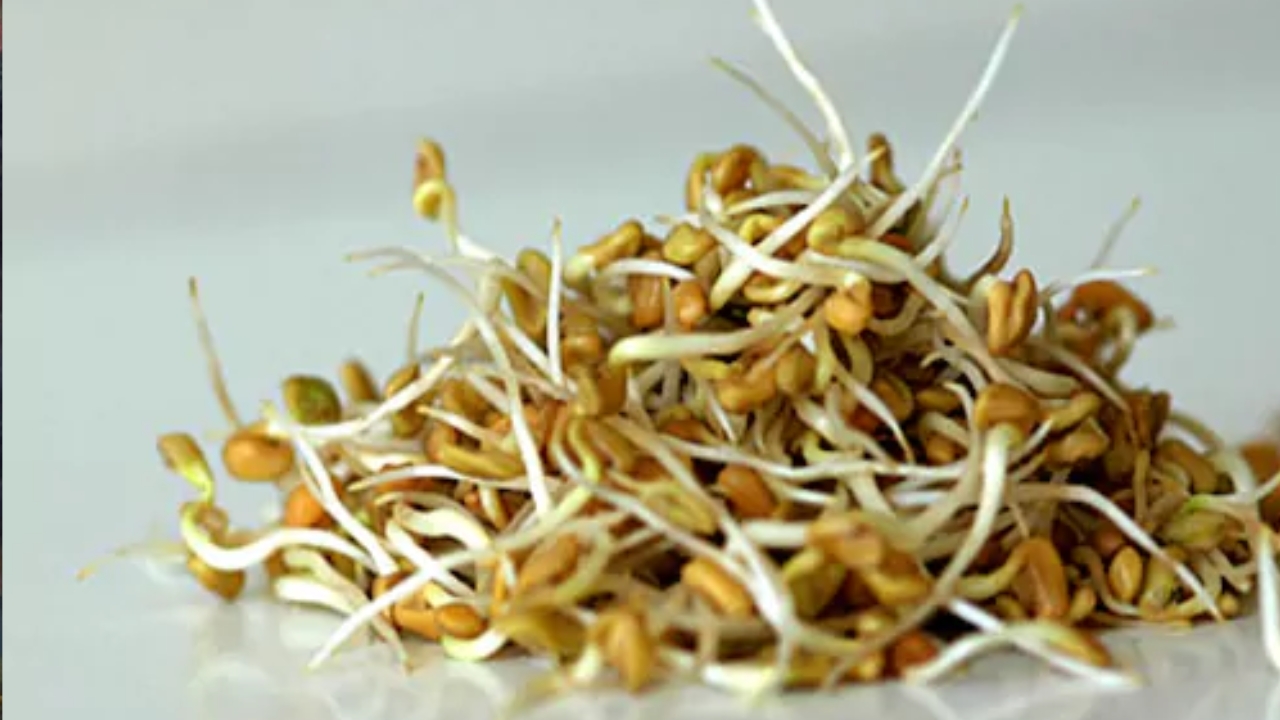 Fenugreek Seeds: మొలకెత్తిన మెంతులతోను ఎన్ని లాభాలు ఉంటాయో తెలిస్తే షాక్ అవుతారు..