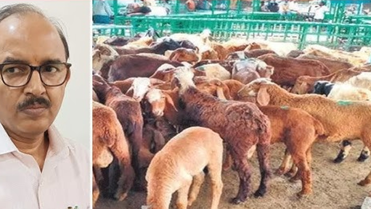 Sheep Distribution Scam: దూకుడు పెంచిన ఏసీబీ.. గొర్రెల స్కాం విచారణ వేగవంతం