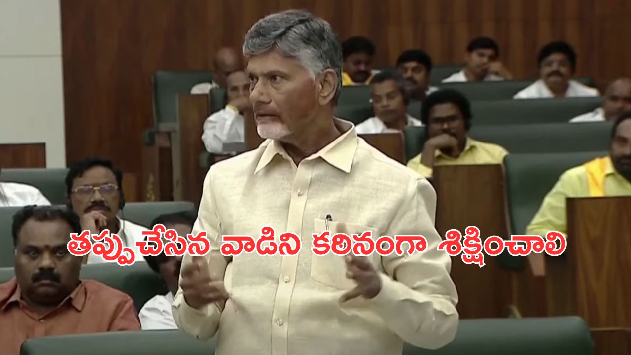 White Paper on Ap Liquor: మద్యం కుంభకోణం జరిగింది.. CBCID ఆధ్వర్యంలో ఎంక్వైరీకి సీఎం ఆదేశం