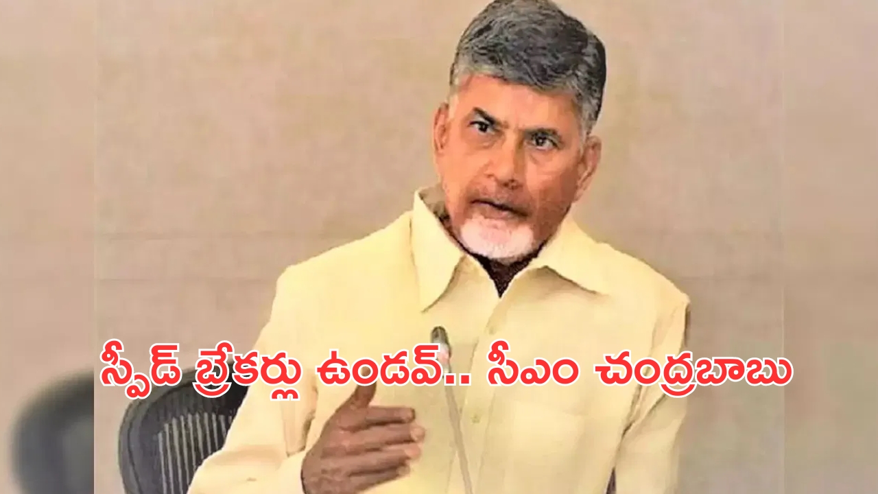 CM Chandrababu: మంచి చేసే వారికి స్పీడ్ బ్రేకర్లు ఉండవ్.. సీఎం చంద్రబాబు