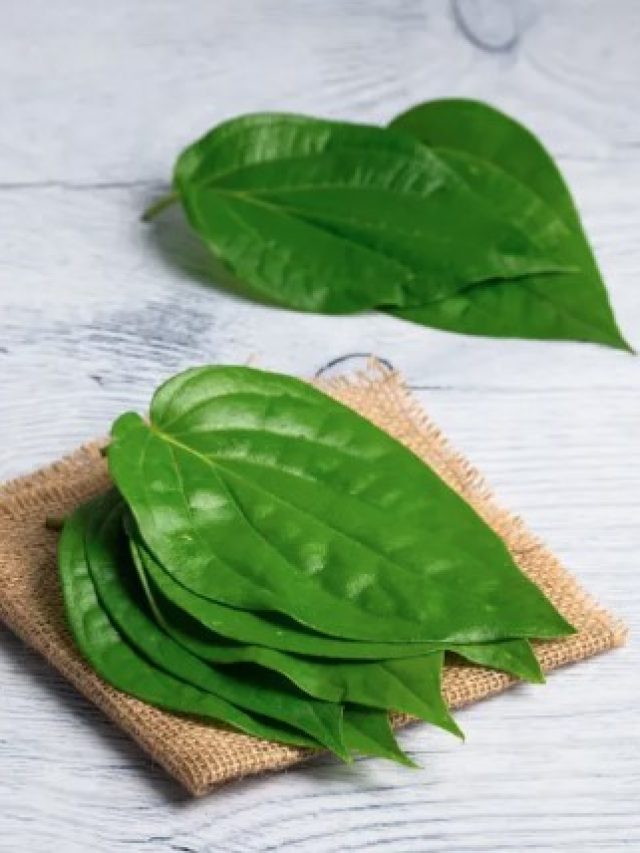 Benefits of betel leaves