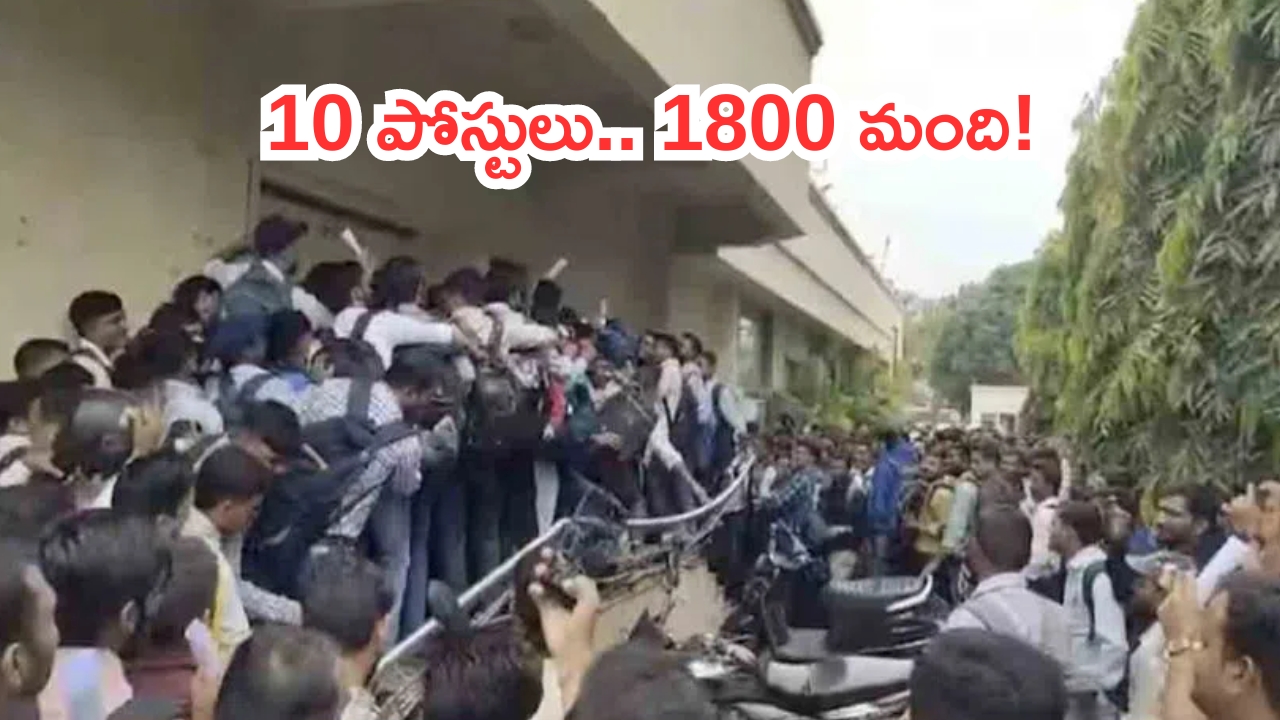 Gujarat Job Interview Video Viral: 10 ఉద్యోగాలకు 1800మంది..తొక్కిసలాట వీడియో వైరల్