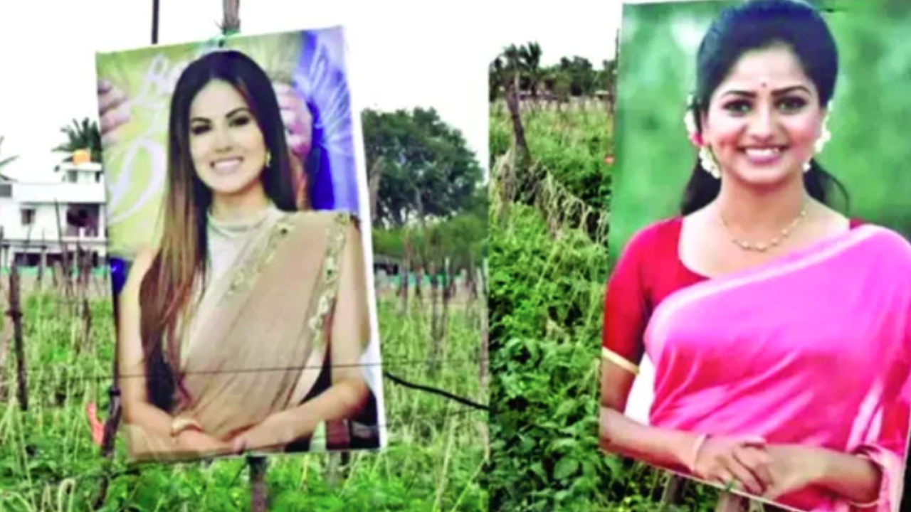 Heroines Photos in Tomato Crop: టమాటా పొలంలో హీరోయిన్ల ఫొటోలు.. రేటు బాగా పెరిగిందంటూ..