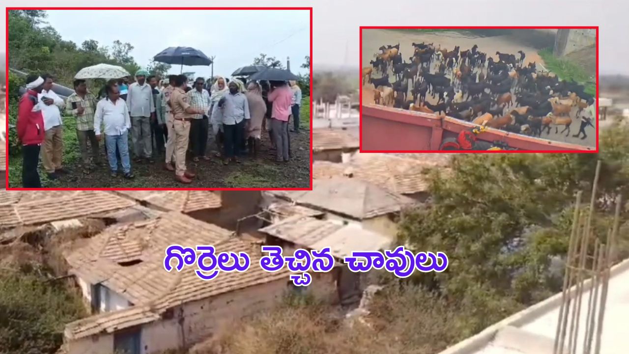 Kamareddy Crime: కామారెడ్డిలో దారుణం.. గొర్రెలు తెచ్చిన చావులు.. రెండునెలల్లోనే ?