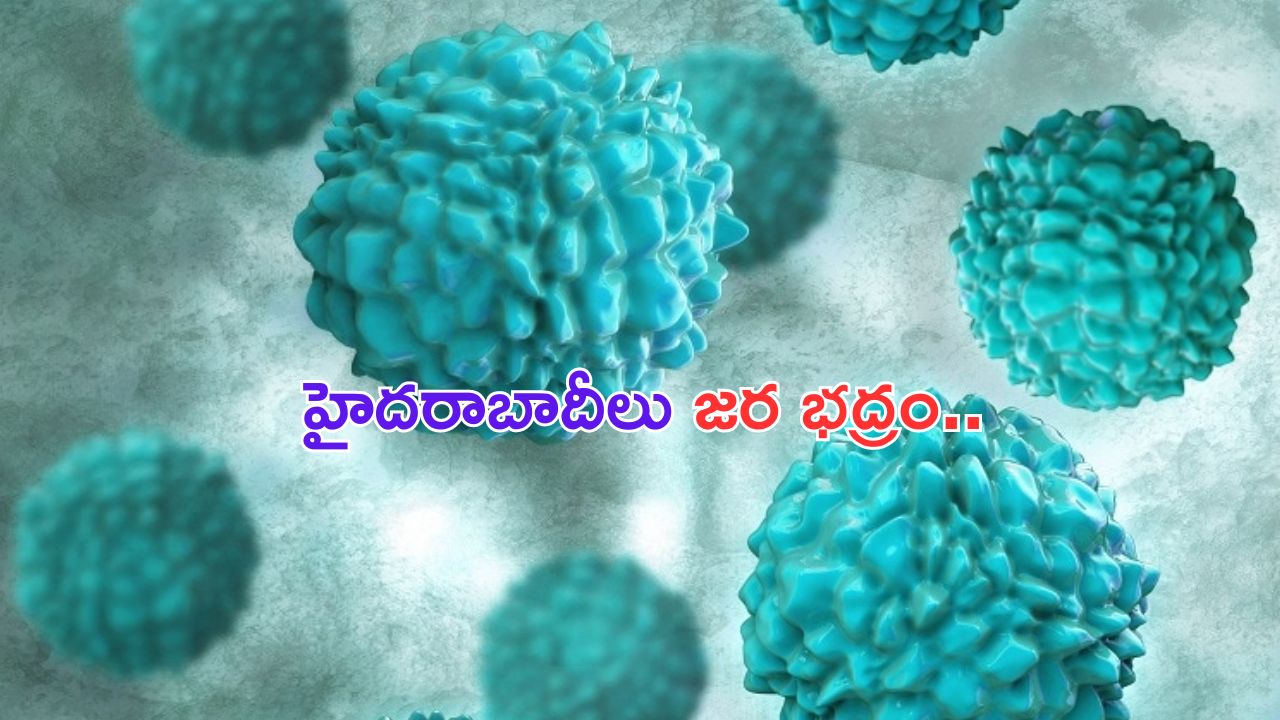 Virus Alert : హైదరాబాద్ లో కొత్త వైరస్.. రోజుకు 120 కేసులు.. GHMC అలర్ట్