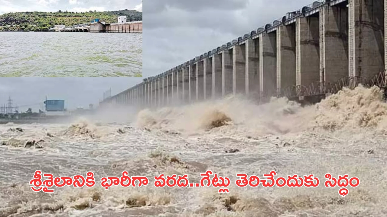 Heavy Water Flow at Jurala: జూరాల నుంచి భారీ వరద..శ్రీశైలం ప్రాజెక్టు గేట్లు ఎత్తేందుకు అధికారుల కసరత్తు