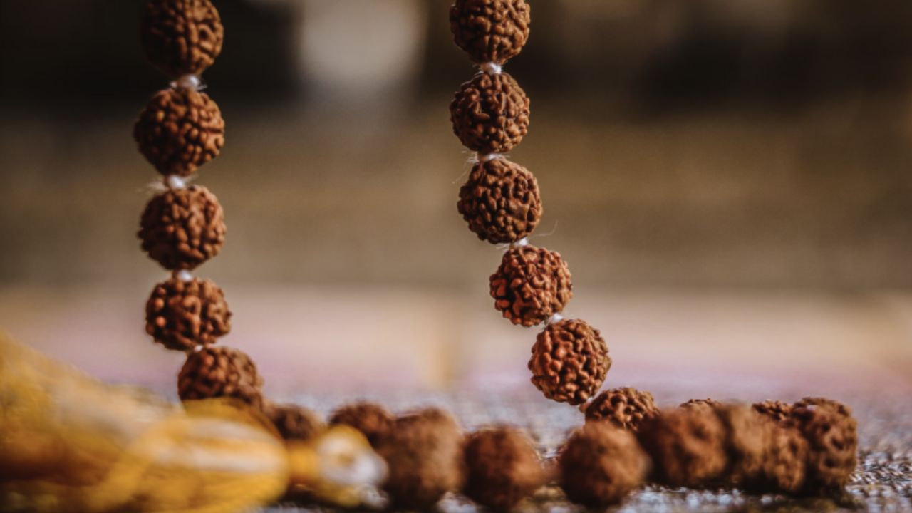 Rules of Wearing Rudraksha: రుద్రాక్ష ధరిస్తున్నారా.. అయితే ఈ నియమాలు తప్పక పాటించాలి..