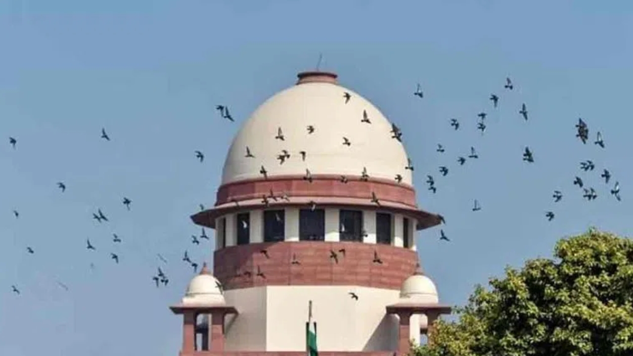 Supreme Court: అరుదైన కేసుల్లోనే బెయిల్‌ ఆర్డర్‌పై స్టే ఇవ్వాలి: సుప్రీంకోర్టు