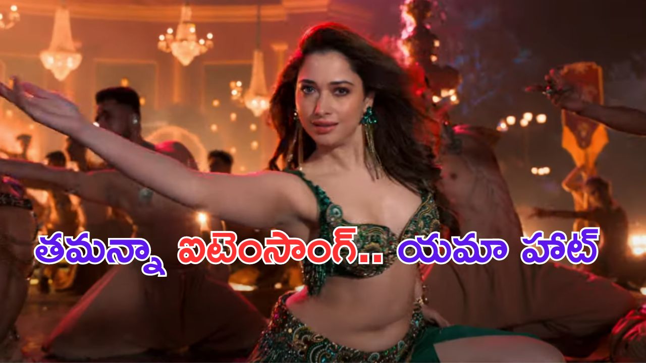 Tamannaah Bhatia: మిల్కీ బ్యూటీ అందాలను చూడడానికి అయినా ఆ సినిమాకు వస్తారు మావా..