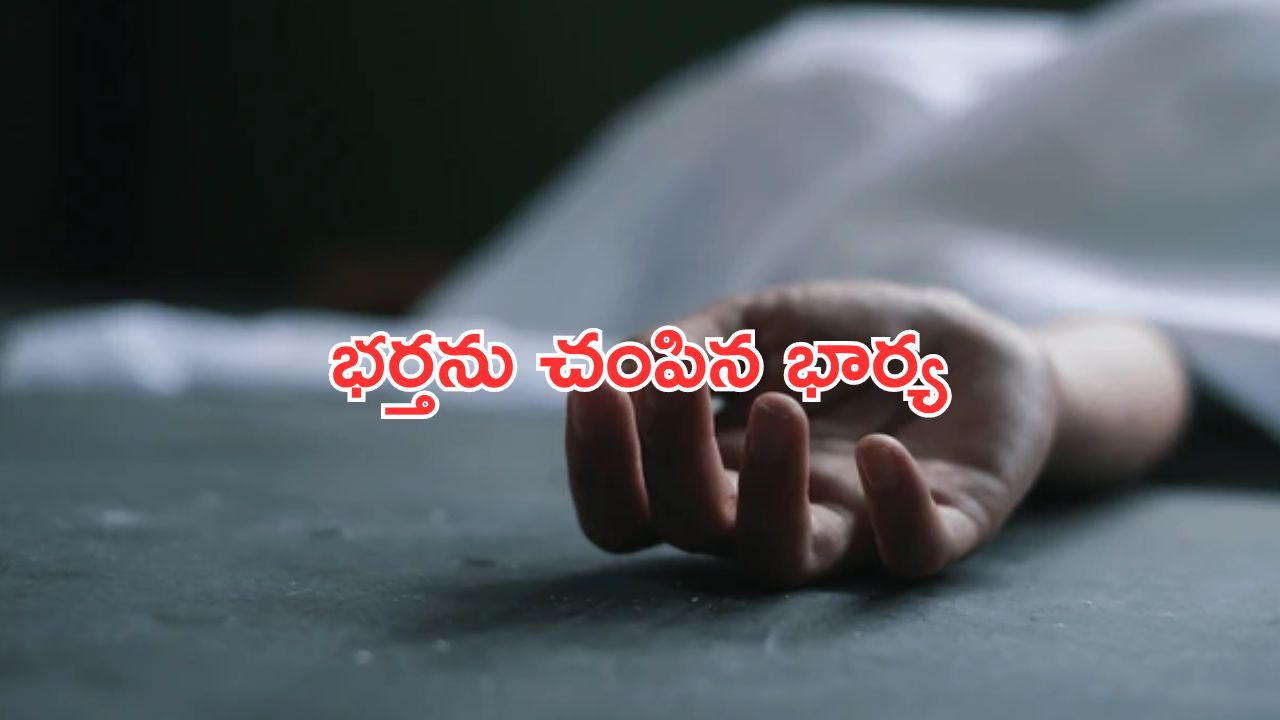 Wife Killed Husband : తాగుడుకి బానిసైన భర్త.. స్క్రూడ్రైవర్ తో పొడిచి చంపిన భార్య