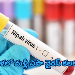 Nipah Virus: మళ్లీ క్వారంటైన్, ఐసొలేషన్లు.. కేరళకు కేంద్ర బృందం