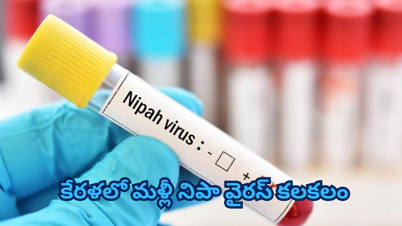 Nipah Virus: మళ్లీ క్వారంటైన్, ఐసొలేషన్లు.. కేరళకు కేంద్ర బృందం