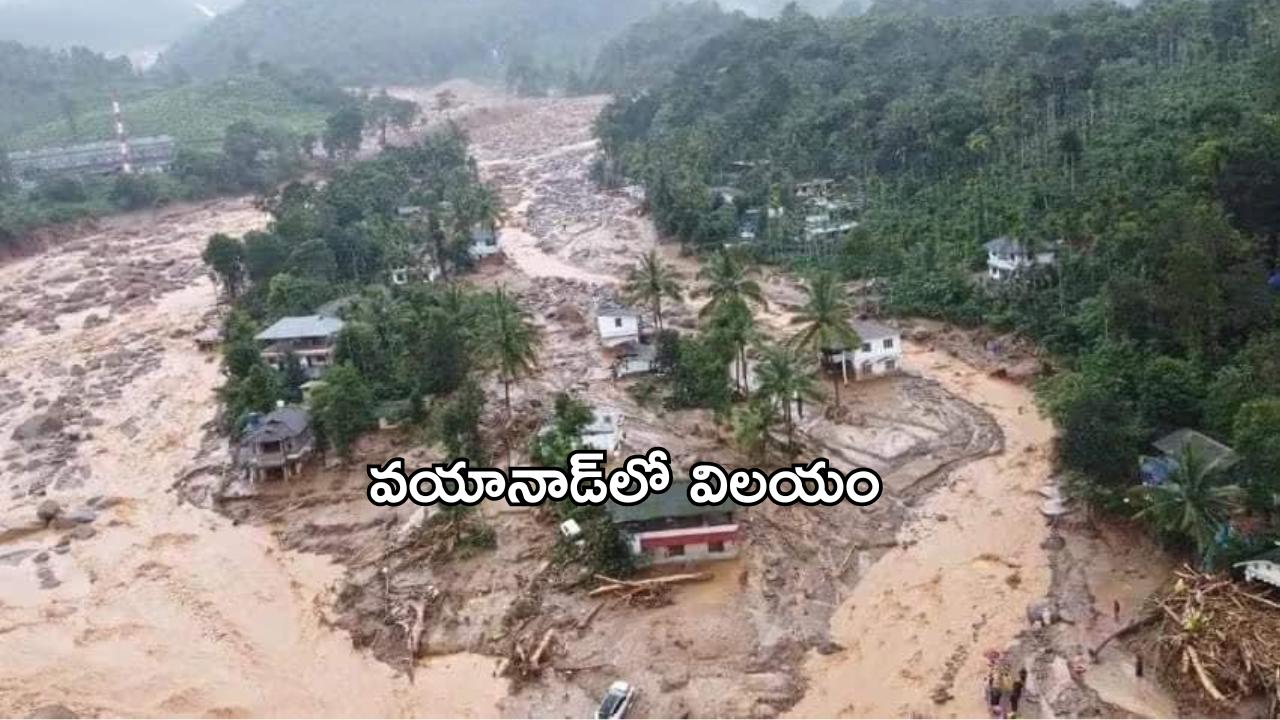 Wayanad: వయానాడ్‌లో విలయం.. 106 మంది దుర్మరణం