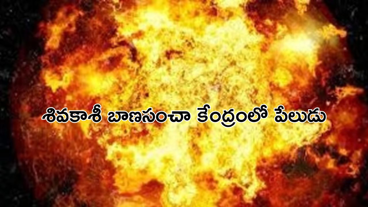 Blast in Firecrakers Factory : శివకాశీ బాణసంచా తయారీ కేంద్రంలో పేలుడు.. ఇద్దరు మృతి