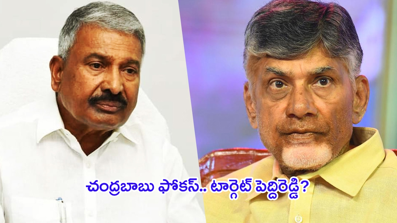 Peddireddy Ramachandra Reddy: చంద్రబాబు యాక్షన్ ప్లాన్.. టార్గెట్ పెద్దిరెడ్డి?