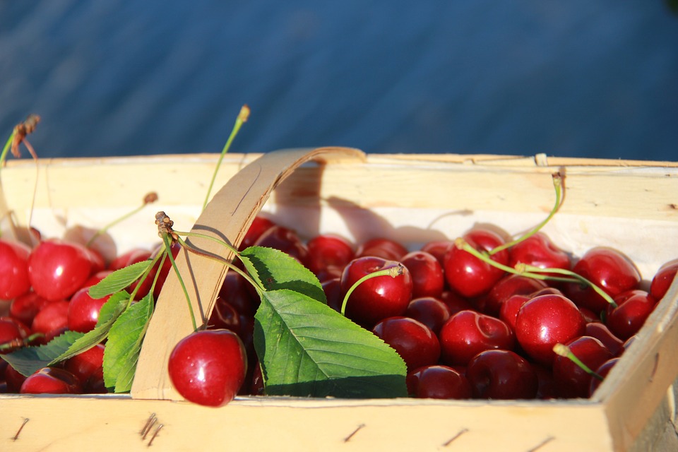 Health Benefits Of Cherries