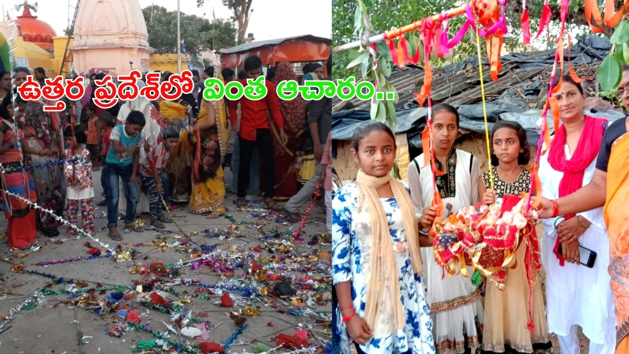 Nag Panchami 2024 : ఉత్తరప్రదేశ్‌లో వింత ఆచారం, ఏటా నాగుల పంచమి రోజు ఇలా..