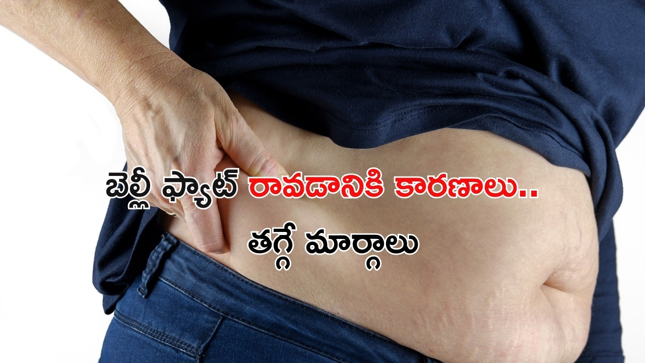 Belly Fat Causes: బెల్లీ ఫ్యాట్ ఎందుకు వస్తుంది ? తగ్గించుకోవడం ఎలా..