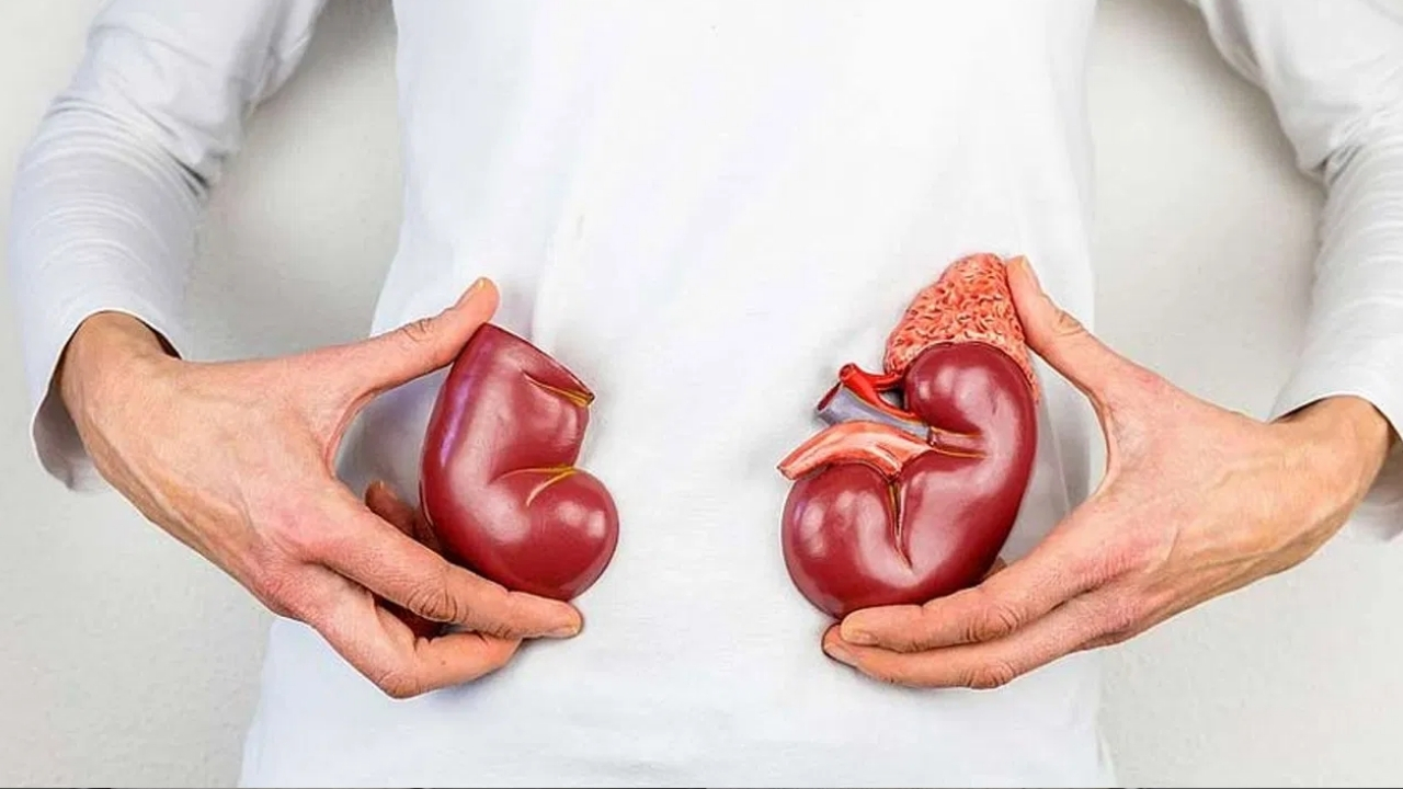 Kidney Care: వీటిని ఎక్కువగా తినేస్తున్నారా.. ఇవి మీ కిడ్నీని పాడు చేస్తాయి జాగ్రత్త..