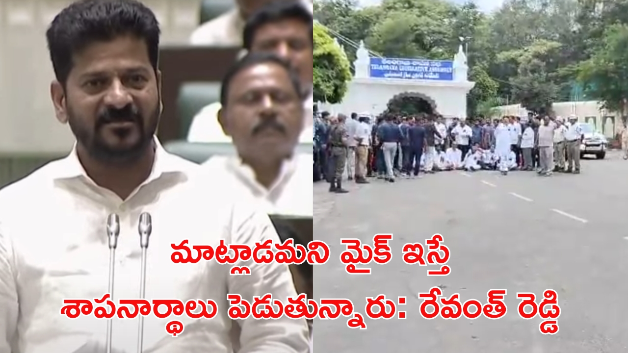 CM Revanth Serious in Assembly: సీతక్కపై అవమానకరమైన మీమ్స్.. సీఎం సీరియస్