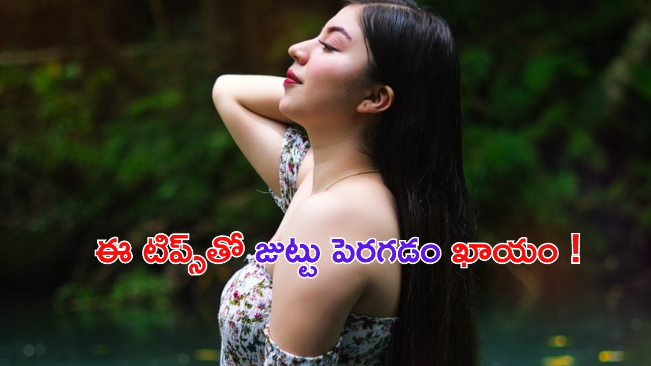 Hair Care Tips: ఈ టిప్స్‌తో మీ జుట్టు పెరగడం ఖాయం !