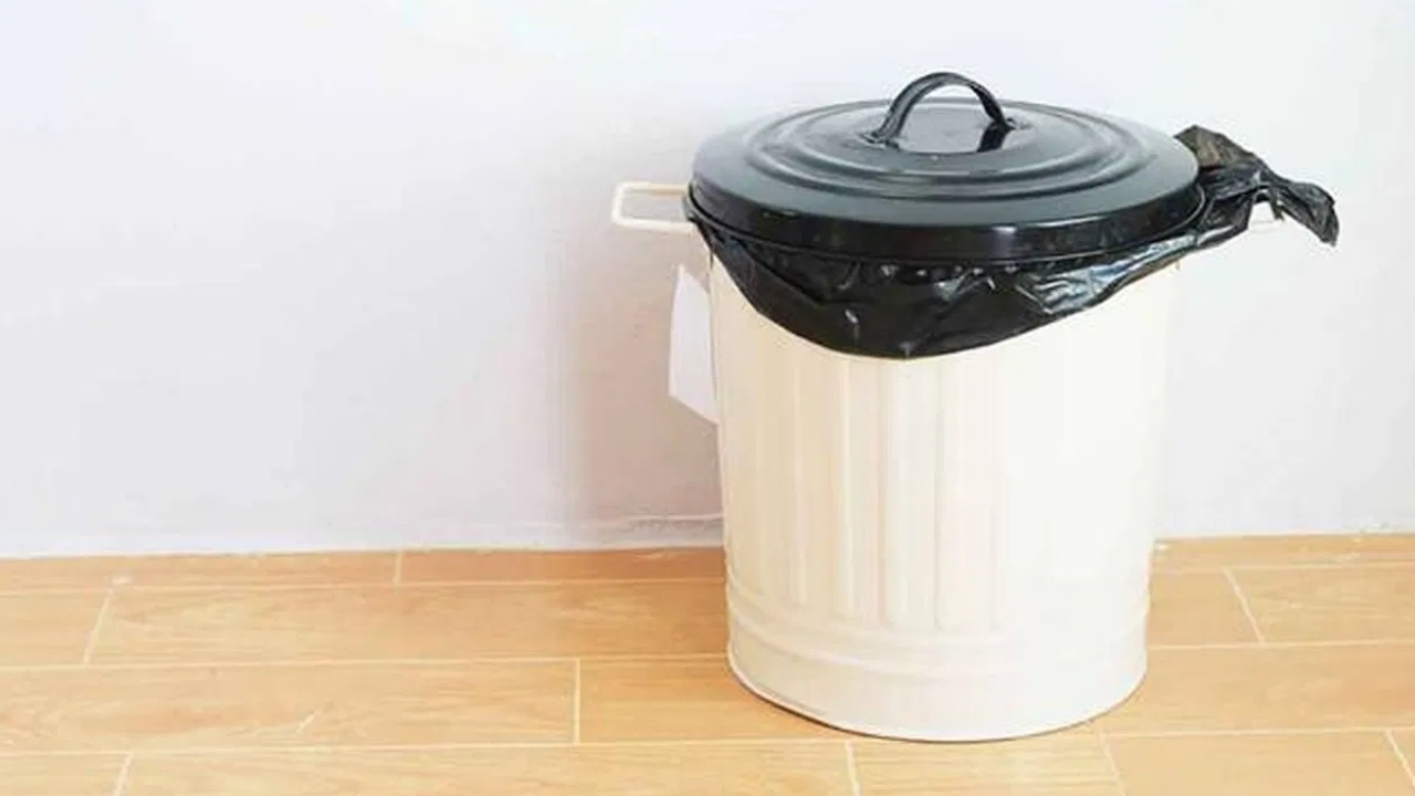 Vastu Tips for Dustbin: ఇంట్లో ఎక్కడ పడితే అక్కడ డస్ట్‌బిన్ పెడుతున్నారా.. పేదరికం మిమ్మల్ని చుట్టుముడుతుంది జాగ్రత్త..!