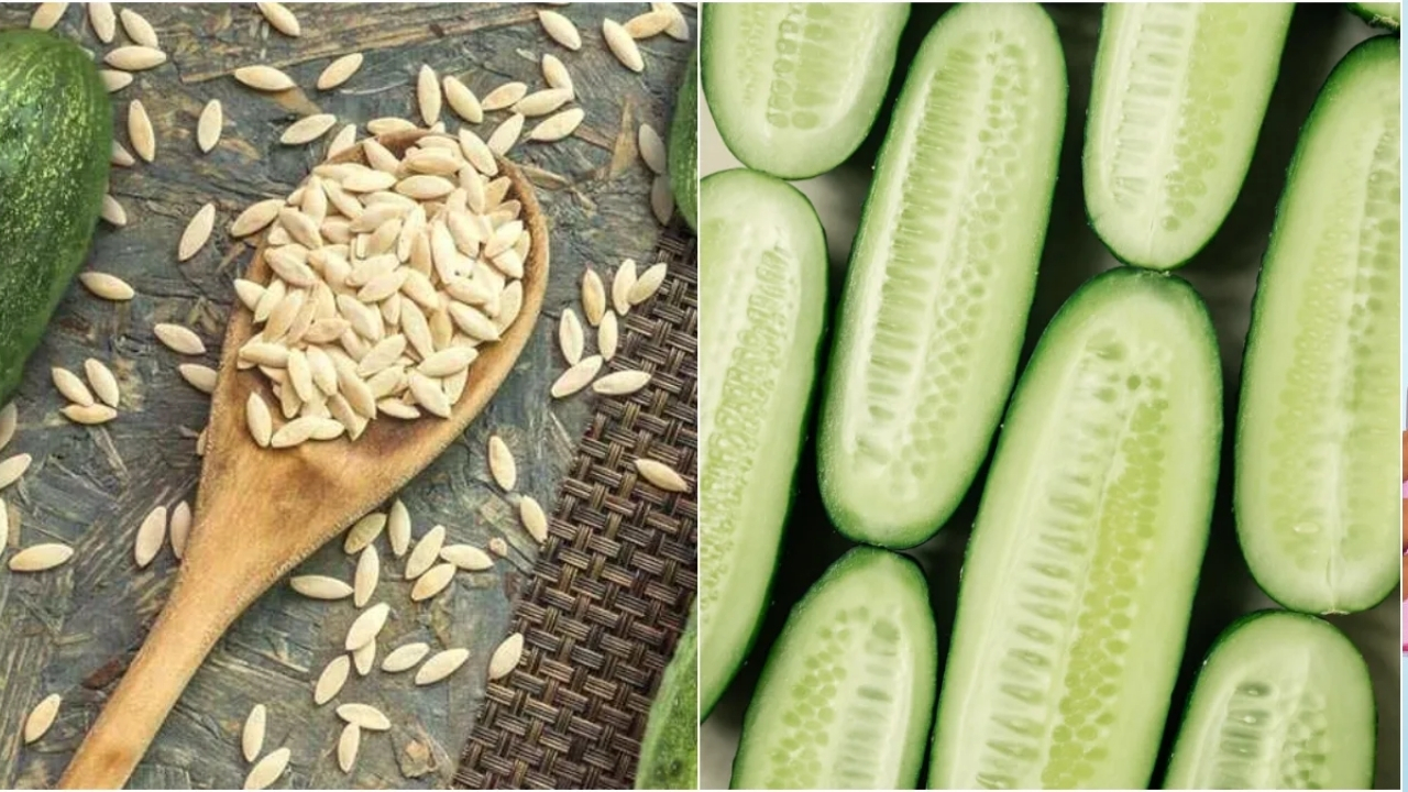 Cucumber Seeds: గింజలే కదా అని తీసి పారేస్తున్నారు.. తింటే ఎన్ని లాభాలో తెలుసా..!