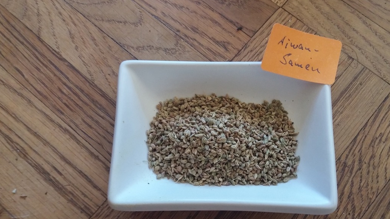 Ajwain Health Benefits: వాముతో చిటికెలో జలుబు, దగ్గు మాయం !