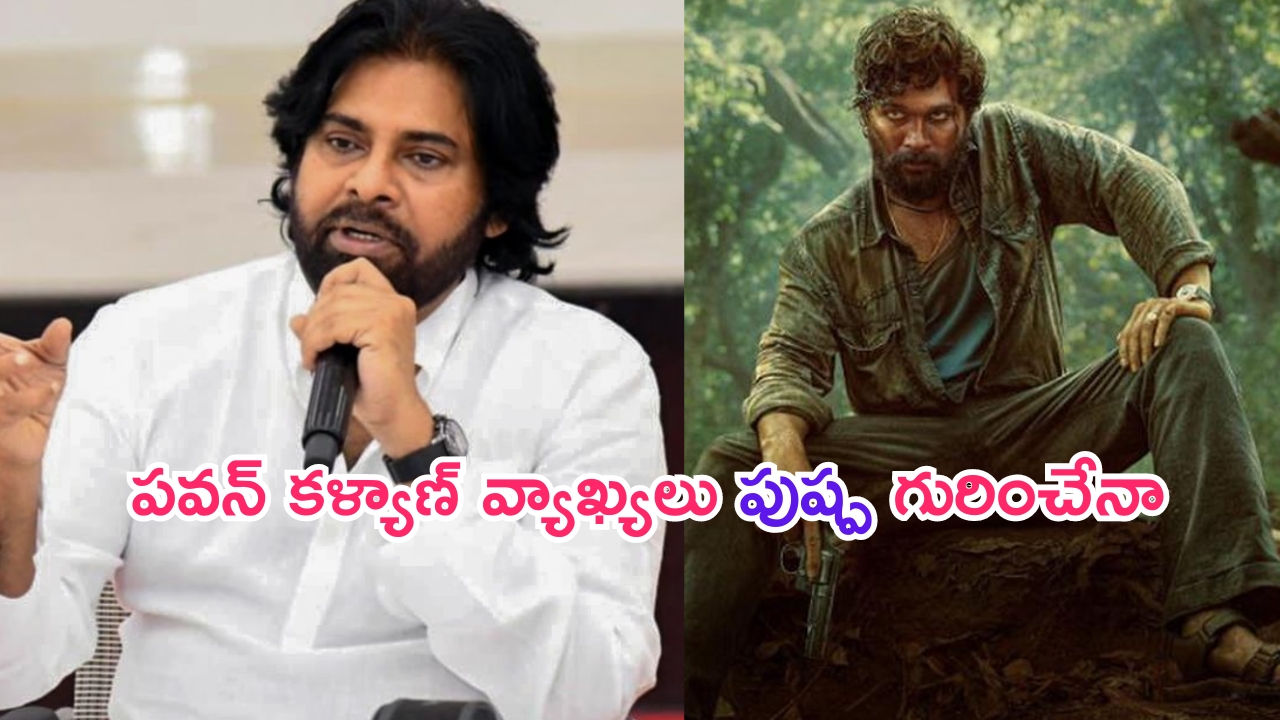 Pawan Kalyan: పవన్ కళ్యాణ్ అన్నది అల్లు అర్జున్ గురించేనా..!