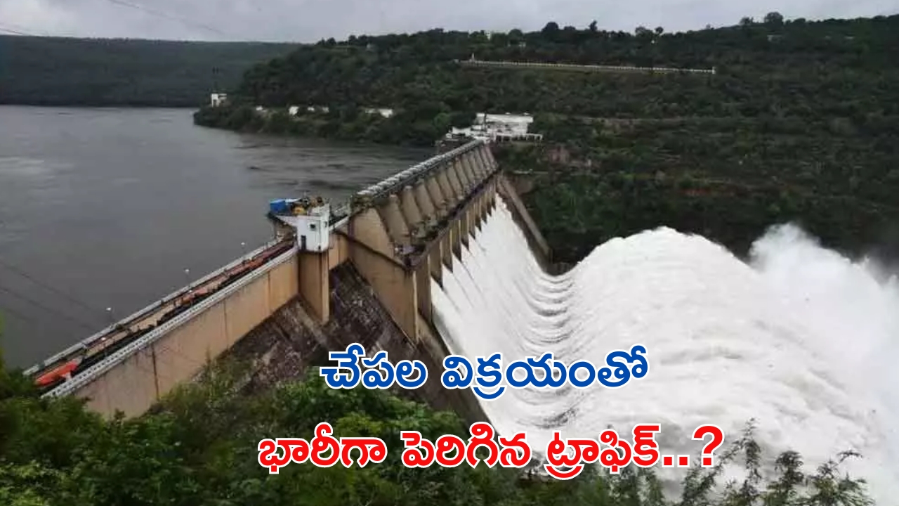 Srisailam Project: కనువిందు చేస్తున్న కృష్ణమ్మ.. శ్రీశైలంలో పర్యాటకుల సందడి