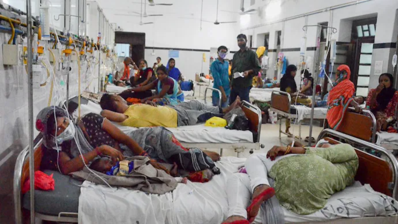 Dengue fever in Telangana: తెలంగాణలో డెంగీ డేంజర్ బెల్స్..ఒక్క రోజు వ్యవధిలో ఐదుగురు మృతి