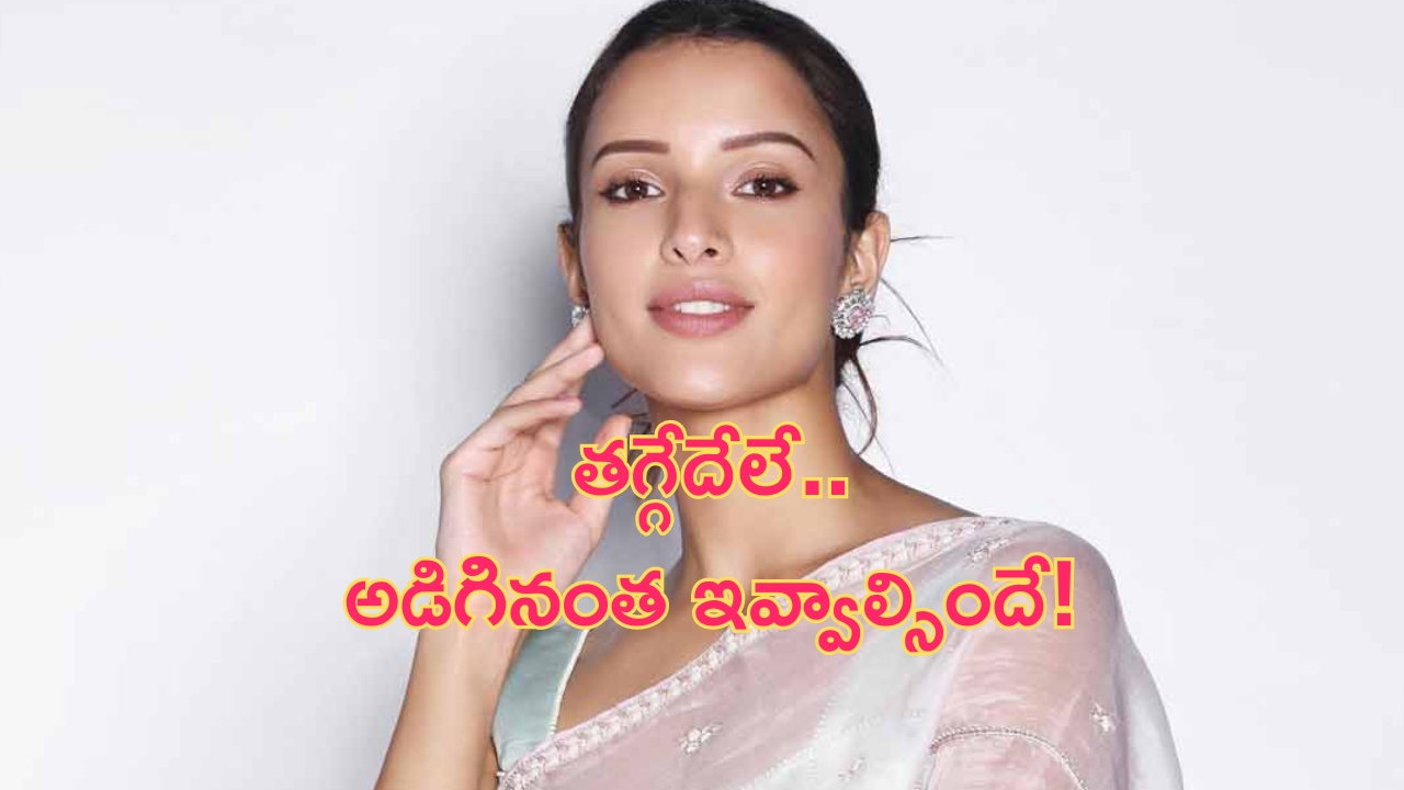 Tripti Dimri: భారీగా రెమ్యునరేషన్ పెంచిన యానిమల్ బ్యూటీ..ఎంతంటే?