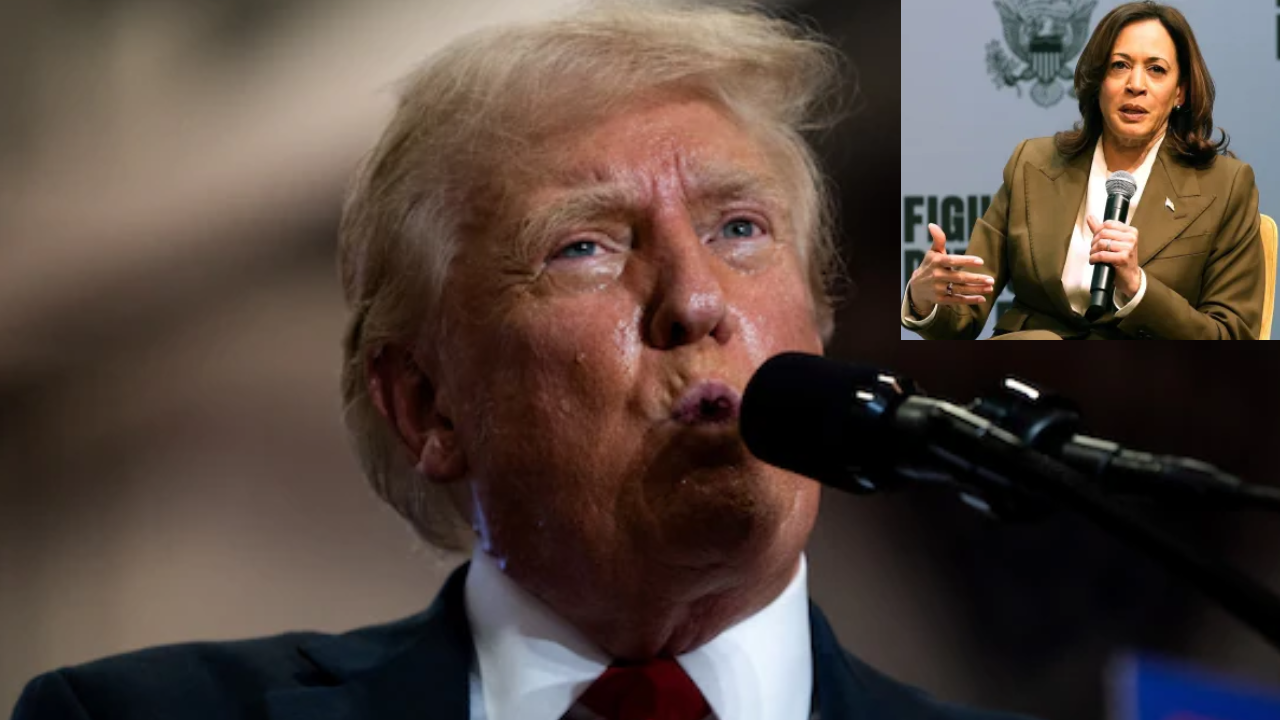 Trump coments on Kamala Harris: ట్రంప్ కు గోరోజనం తగ్గలేదు..ఇండియన్స్ ఫైర్