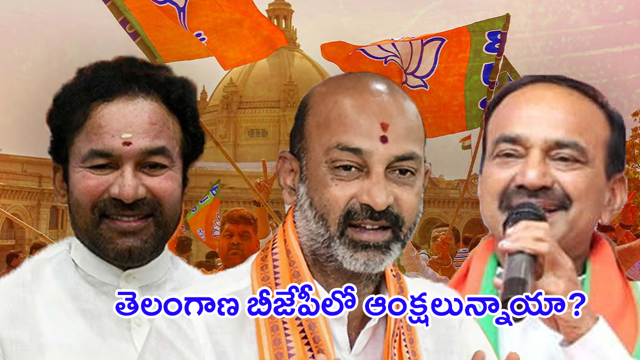 Telangana BJP: తెలంగాణ బీజేపీలో విభేదాలు.. రాష్ట్ర అధ్యక్ష పదవికి.. కొత్త నేతలకు అర్హత లేదా..?