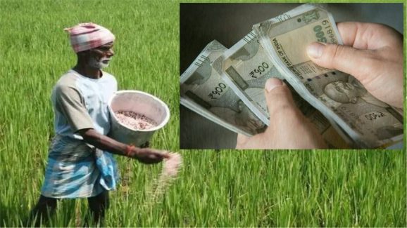 Farm Loans: రైతుల సొమ్ము.. రాబందుల పాలు.. వ్యవసాయ సొసైటీల్లో అవినీతి తిమింగలాలు